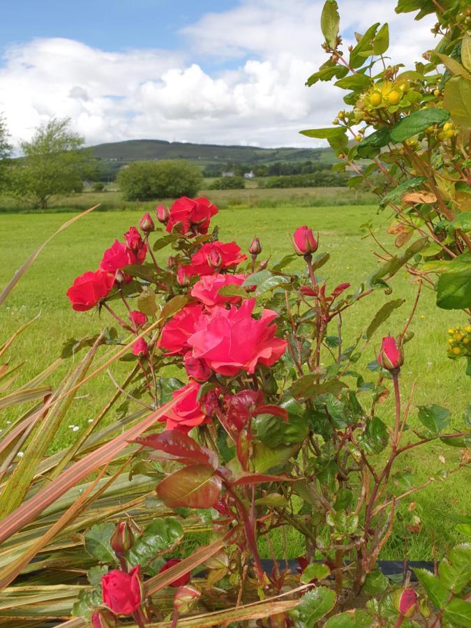 Los Molinos Bed and Breakfast Tralee Exterior foto
